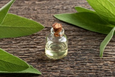 Ahşap bir masanın üzerinde taze adaçayı dalları olan bir şişe gerekli yağ.