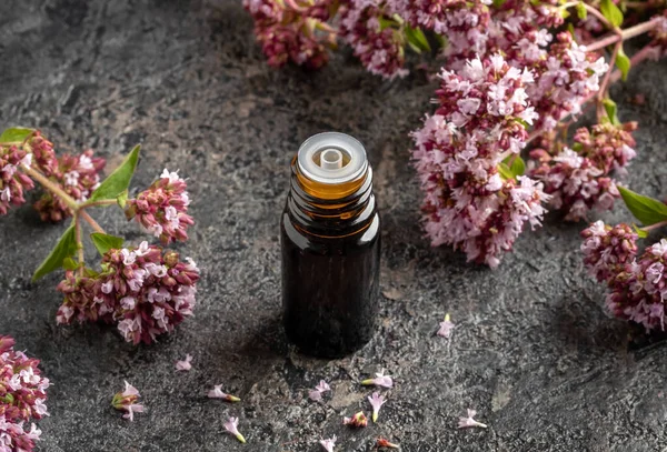 Flaska Eterisk Olja Och Färsk Blommande Oregano Växt — Stockfoto