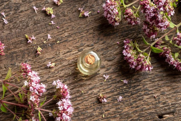 Een Transparante Fles Etherische Olie Met Bloeiende Oregano Een Houten — Stockfoto