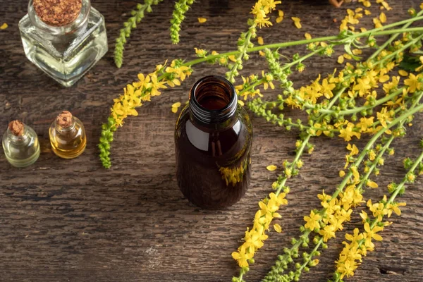 Ένα Μπουκάλι Φυτικό Βάμμα Φτιαγμένο Από Φρέσκα Λουλούδια Αγριμόνιου — Φωτογραφία Αρχείου