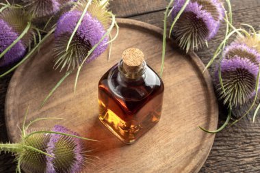 Şeffaf bitkisel bir tentür şişesi ve masada yabani çay çiçekleri.