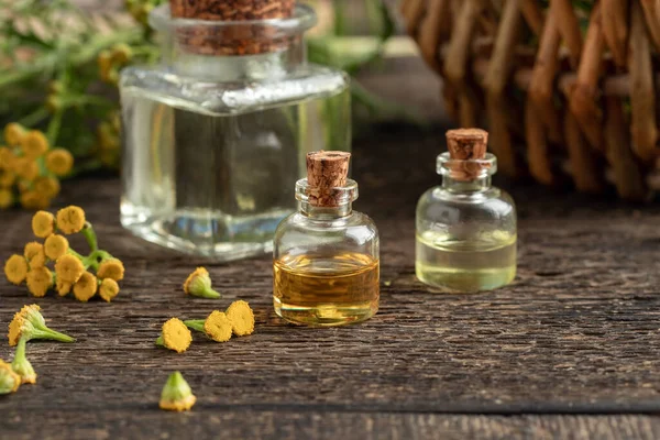新鮮な一般的なタンジーを持つエッセンシャルオイルのボトル またはTanacetumハゲワシ植物 — ストック写真