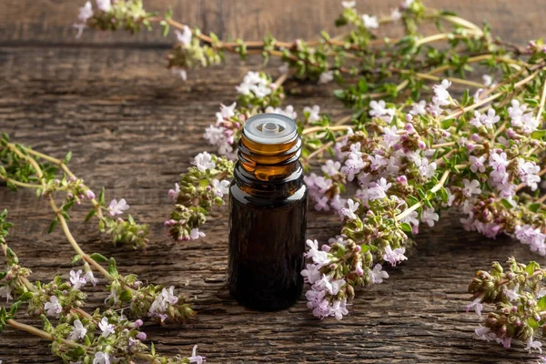 Пляшка Ефірної Олії Свіжою Рослиною Чебрецю Цвітіння — стокове фото
