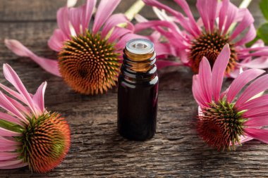 Esmer bir yağ şişesi ve taze ekinezya çiçekleri.