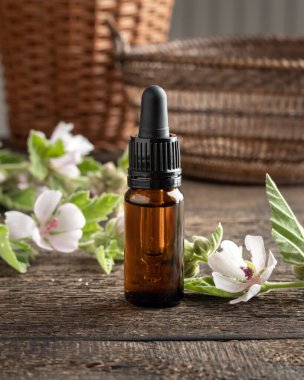 Masada Althaea resmi çiçekleri olan bir şişe marshmallow kökü tentürü.