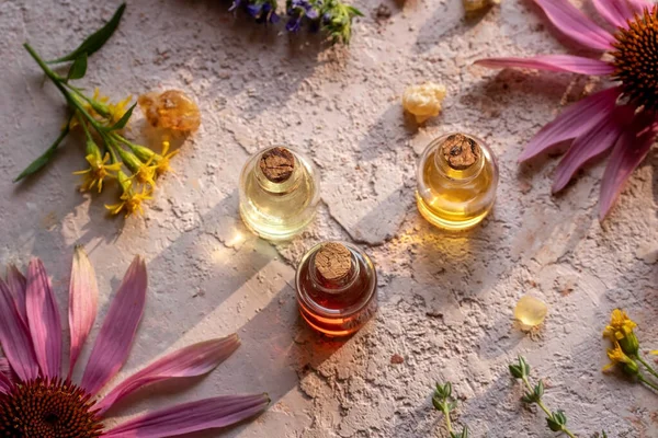 Bottles Essential Oil Frankincense European Goldenrod Echinacea Other Herbs — Stock Photo, Image