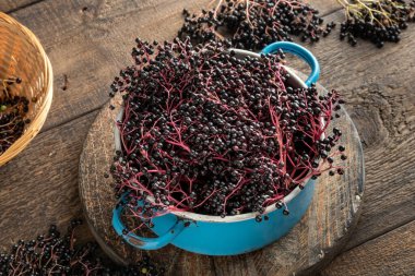 Masadaki mavi tencerede taze elderberry