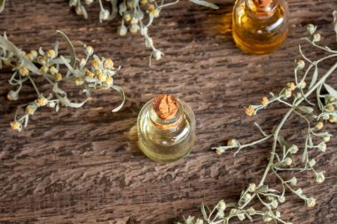 Taze pelin otu ya da Artemisia Absinthium bitkisi içeren bir şişe gerekli yağ.