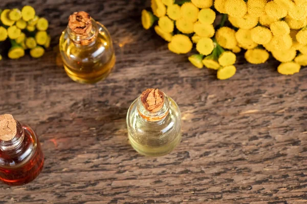 Пляшка Звичайної Пижмової Ефірної Олії Свіжим Цвітінням Рослини Танацетум Вульгард — стокове фото