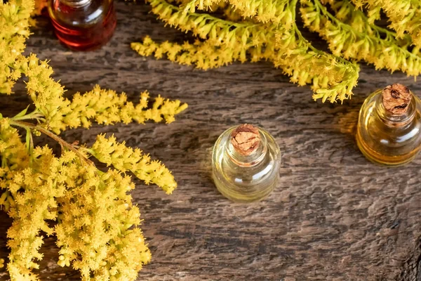 Бутылки Эфирного Масла Цветущим Канадским Золотистым Стержнем Растением Solidago Canadensis — стоковое фото