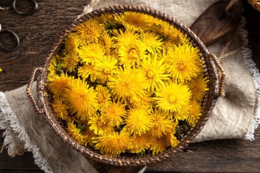 Sepette taze karahindiba çiçekleri, üst manzara.