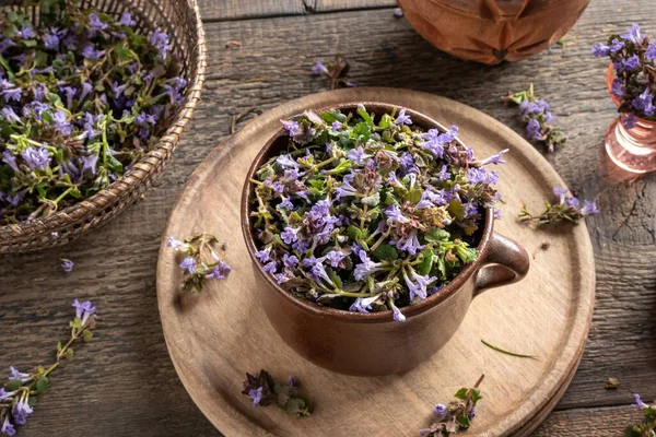 Floraison Fraîche Lierre Moulu Dans Pot Sur Une Table — Photo