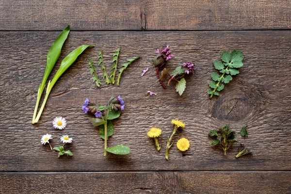 Lungwort, wild garlic, young nettles, dandelion and other herbs collected in early spring on a wooden background