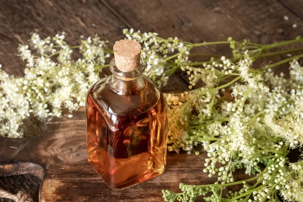 A bottle of homemade meadowsweet tincture with fresh blooming plant on a table