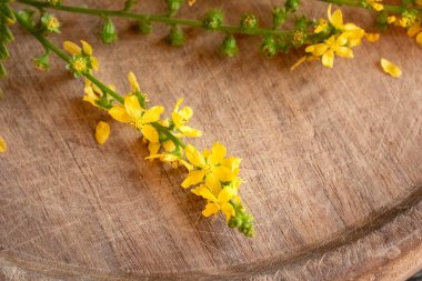 Taze tarımsal çiçekler masada, yakın plan.