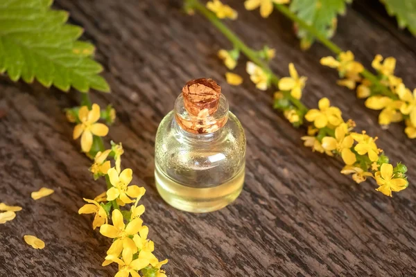 Прозора Пляшка Ефірної Олії Свіжою Квітучою Агрімонією — стокове фото