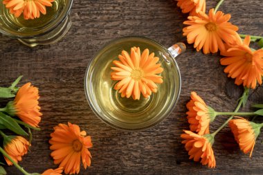 Bir bardak taze çiçekli Calendula çayı.