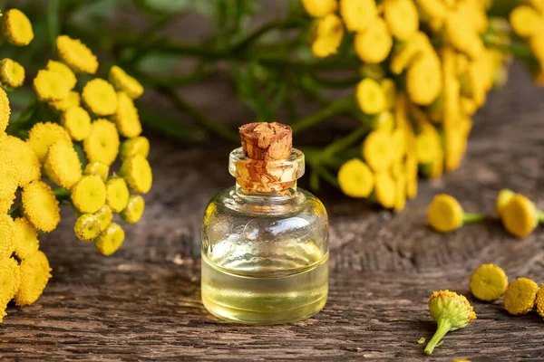 Eine Flasche Ätherisches Mit Blühenden Tanacetum Vulgare Zweigen Auf Einem — Stockfoto