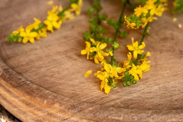 Taze Çiçek Açan Tarımsal Bitki Bir Masada Yakın Plan — Stok fotoğraf