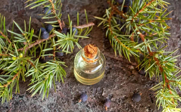 Transparent Bottle Essential Oil Juniper Branches Berries — Stock Photo, Image