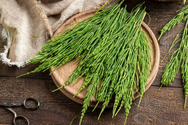 Fresh horsetail twigs on a wooden cutting board