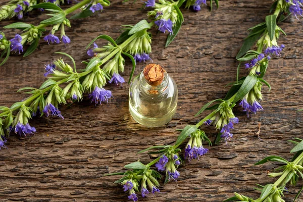 Etherische Olie Fles Met Hysop Bloemen Een Tafel — Stockfoto