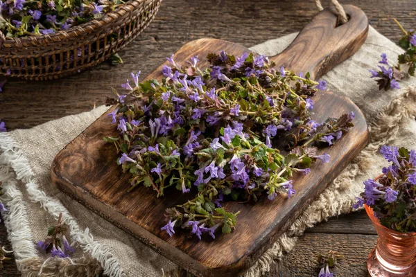 Flores Frescas Hiedra Molida Una Tabla Cortar Ingrediente Para Preparar —  Fotos de Stock