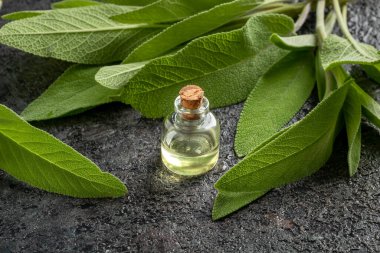 Masanın üzerinde taze adaçayı dalları olan bir şişe gerekli yağ.