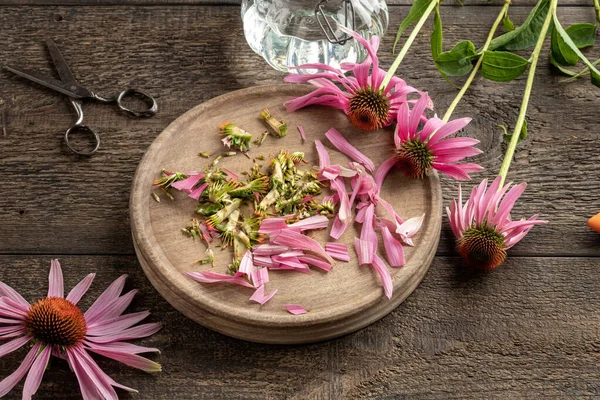 Cut Echinacea Flower Preparation Homemade Herbal Tincture — Stock Photo, Image