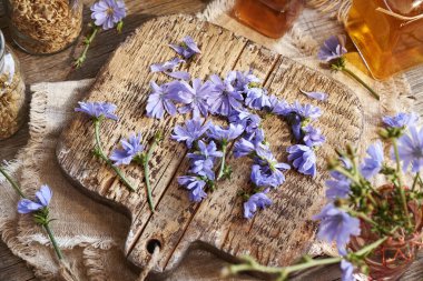 Taze hindiba ya da sulu çiçeklerden bitkisel tentürlerin hazırlanması