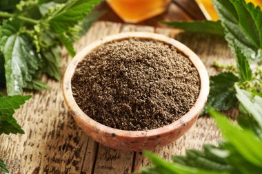 Bir kase taze yapraklı ısırgan otu tohumu. Bitkisel ilaçlar.