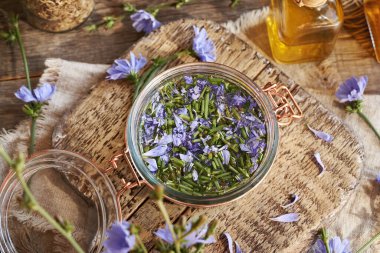 Taze kesilmiş hindiba çiçekleri ve cam bir kavanozda saplar - ev yapımı bitkisel tentürlerin hazırlanması