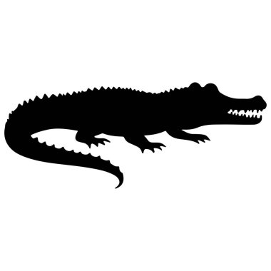 Keskin dişleri, sert pulları ve güçlü bir kuyruğu olan kalın siyah bir timsah silueti. Bu vektör illüstrasyonu vahşi yaşam grafikleri, eğitim materyalleri, logo tasarımı veya doğa temalı yaratıcı projeler için idealdir..