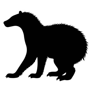 Yürekli siyah bir porsuk silueti, sivri tüylü kenarları, uzun kıvrımlı kuyruğu ve keskin pençeleri olan güçlü uzuvları var. Bu minimalist vektör tasarımı vahşi yaşam grafikleri, eğitim materyalleri, logo kavramları veya doğa için idealdir.