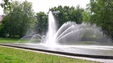 Şehir parkı çeşmesi yeşil ağaçlarla çevrili Poznan. 