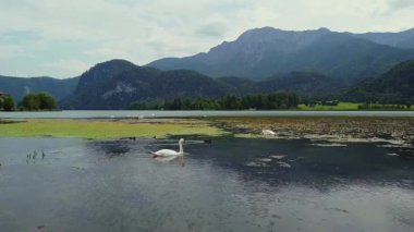 Calm mountain lake with swan hills and peaks under cloudy sky