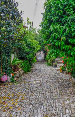 Lania, Kıbrıs köyü tipik dar sokak. Aşırı büyümüş ağaç ve çalı arasında bir Arnavut kaldırımlı yol gösterir.