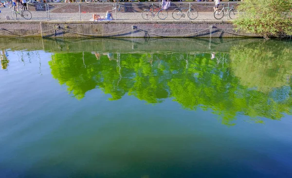 Reflection Trees London Dock Shadwell Shows Dockside Bikes Parked Edge — Stock Photo, Image