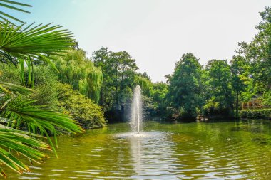 Ağaç göl ile denizin ortasında bir fontain. Bir güneşli yaz akşamı alınan.