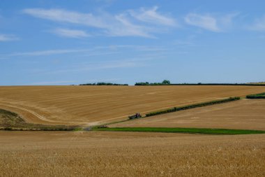 South Downs Milli Parkı Sussex, güzel kırsal bir görünümünü '. Peyzaj tarım ve çalışma traktör gösterilen vurdu. Yaz parlak mavi gökyüzü aftrnoon tarihinde alınan.