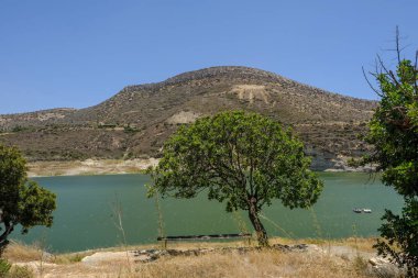 Tek ağaç, Germasogeia baraj manzaralı bir parlak mavi gökyüzü gün erken yaz aylarında gölgeli tezgah ile.
