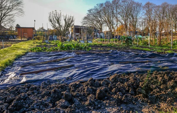 Allotments Winter Lovely Light Shows Plot Covered Black Plastic Sheeting — Stock Photo, Image