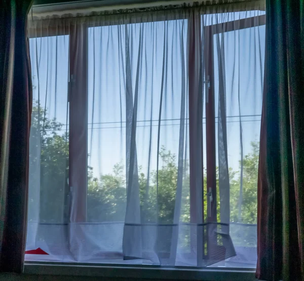 Window with a net curtain and difussed view of outside.  Trees, shrubs and blue sky.