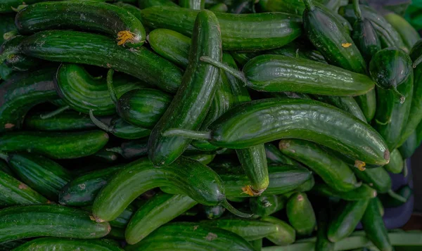 Selección de pequeños pepinos verdes a la venta en el mercado de un agricultor . — Foto de Stock