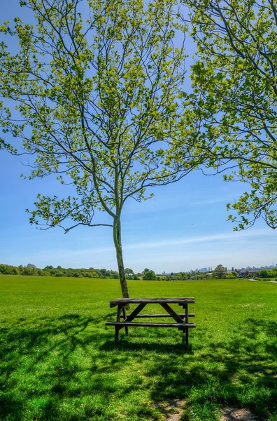 잔디 모양에 나무 옆에 설정 한 빈 나무 피크닉 테이블 — 스톡 사진