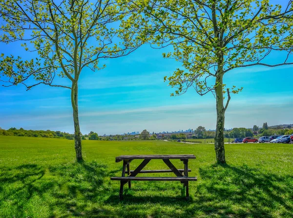 잔디에 두 나무 사이에 설정 하나의 빈 나무 피크닉 테이블 — 스톡 사진