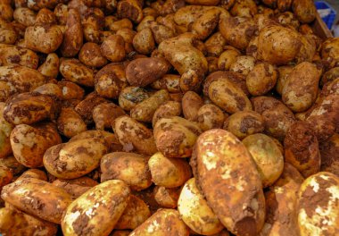 Kıbrıs patatesseçimi pazar tezgahında satışa sunuldu