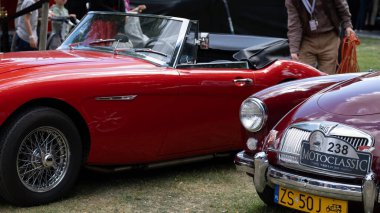 Polonya Wroclaw 24 Ağustos 2025 Klasik Austin Healey üstü açık arabası ve MG arabası Topacz Kalesi Ziyaretçileri 'nin retro otomobil festivalinde sergileniyor tarihi otomobillere adanmış yıllık otomobil etkinliği boyunca klasik ve koleksiyon araçları takdir ediliyor