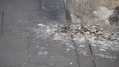 Şehir duvarının yanındaki kaldırımda birikmiş kuş dışkıları yüzeydeki kiri ve hasarı gösteriyor. Bu görüntü kentsel kirliliği, hijyen sorunlarını ve sağlık sorunlarını göstermek için kullanılabilir.