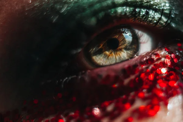 赤い輝きを持つ美しい緑色の目の芸術的なマクロ撮影. ストック画像